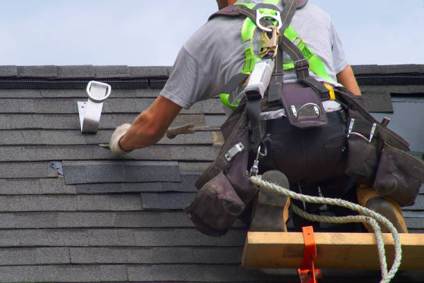Best Solar Panel Roofing Installation  in Toppenish, WA
